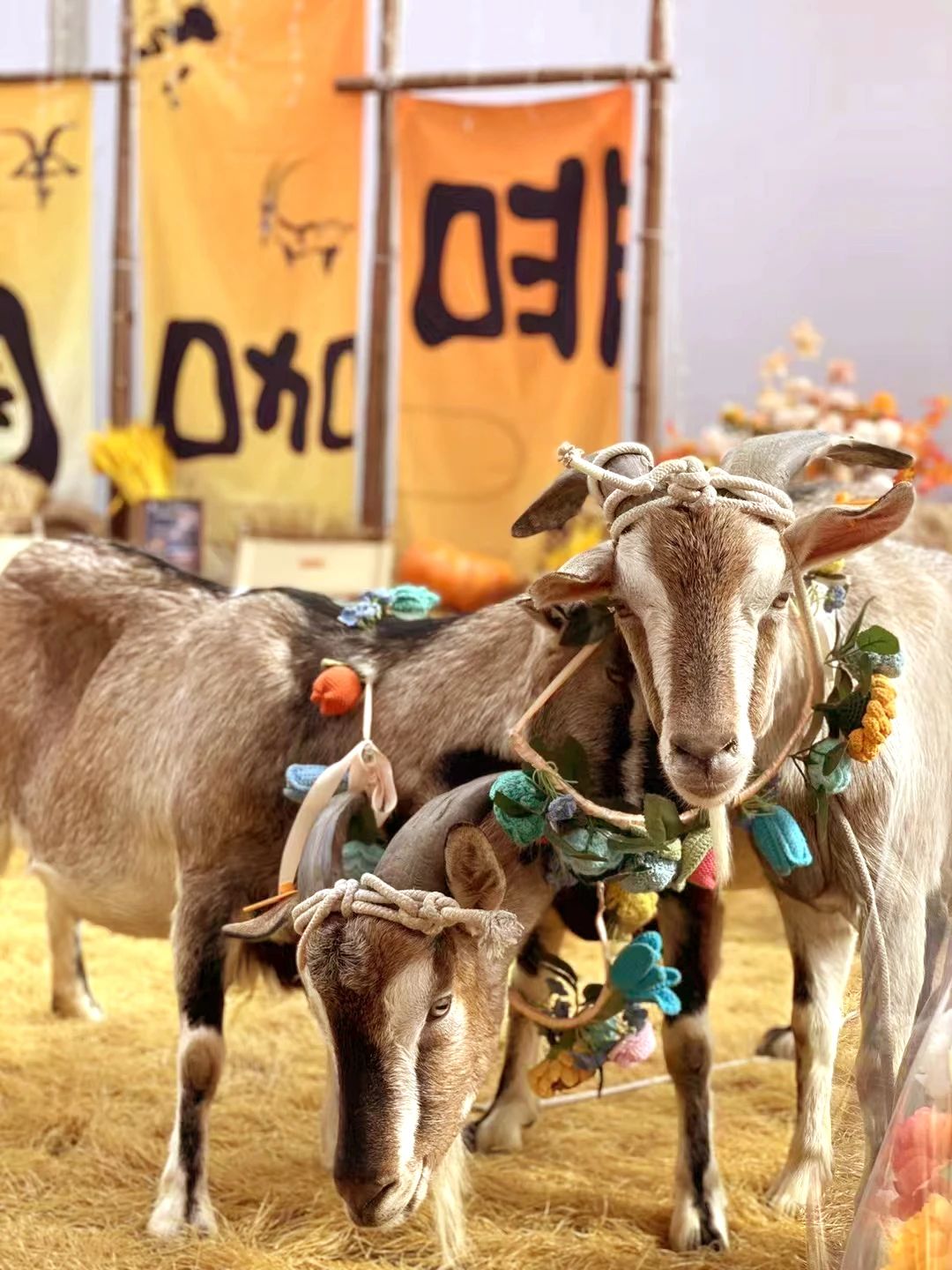 6萬人次入場，意向成交額32億元！第20屆&ldquo;織交會&rdquo;完美收官