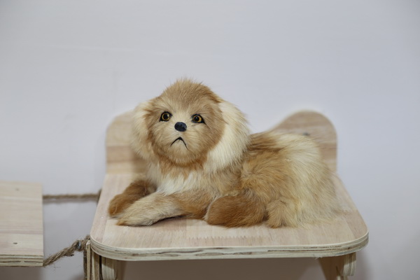 眾地家紡發(fā)力寵物用品， 倍受日商青睞