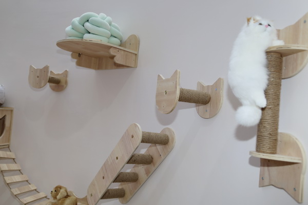 眾地家紡發(fā)力寵物用品， 倍受日商青睞