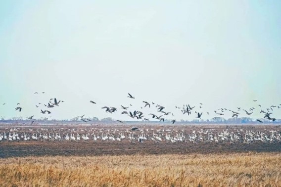  善議2024：綠色邊界與新質(zhì)生產(chǎn)力