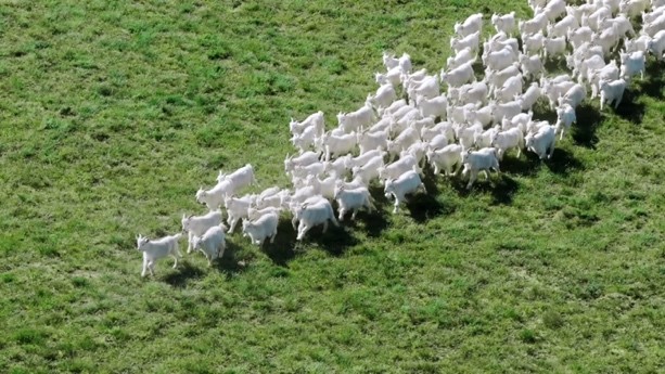  善議2024：綠色邊界與新質(zhì)生產(chǎn)力