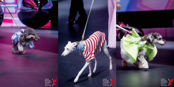 柯橋時(shí)尚綻放高光！20場品牌發(fā)布會傳遞原創(chuàng)設(shè)計(jì)之美