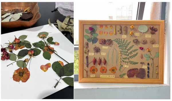 自然印記&mdash;染夏工坊課程招生！