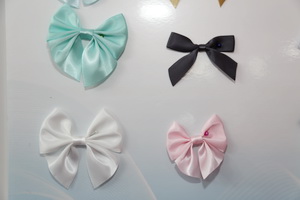  中華紡織網(wǎng)面輔料展區(qū)成功舉辦推介會(huì)，新材料、新工藝 助力興城泳裝產(chǎn)業(yè)升級(jí)