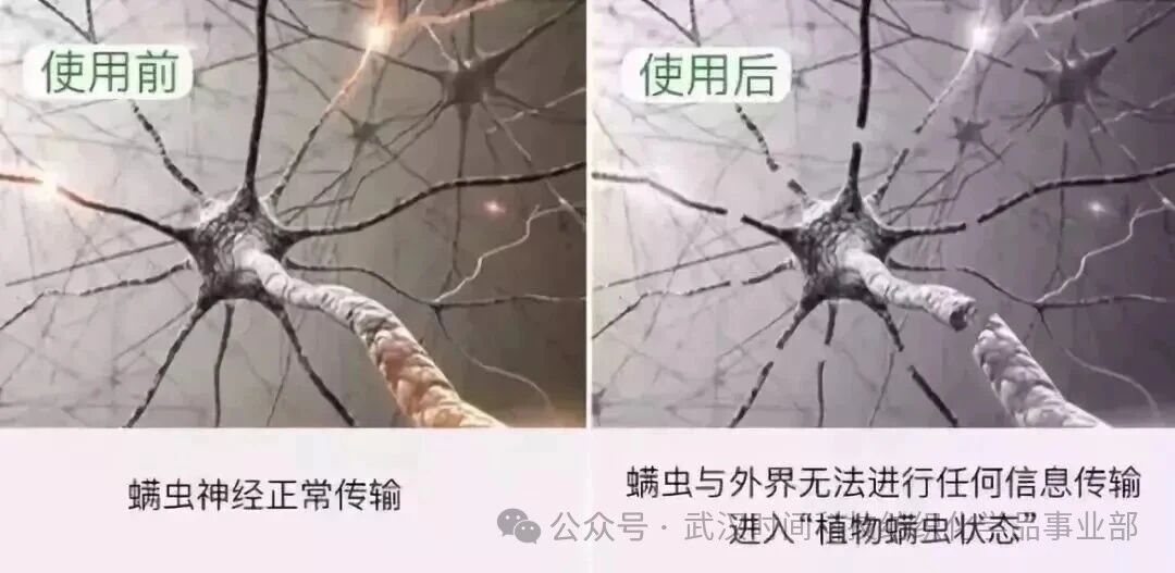  防螨！已成為健康的&ldquo;新剛需&rdquo;--武漢時間科技推出紡織品防螨整理劑喜化&reg;植螨零