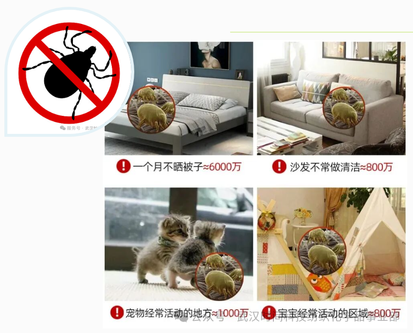 防螨！已成為健康的&ldquo;新剛需&rdquo;--武漢時間科技推出紡織品防螨整理劑喜化&reg;植螨零